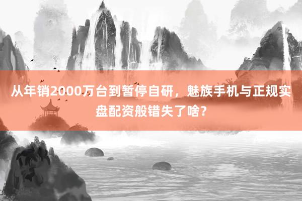 从年销2000万台到暂停自研，魅族手机与正规实盘配资般错失了啥？