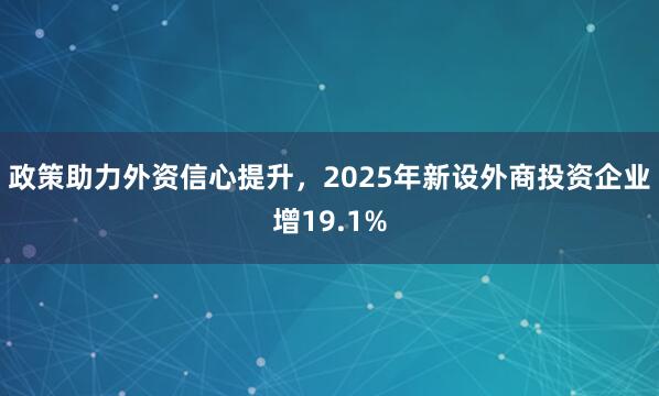 政策助力外资信心提升，2025年新设外商投资企业增19.1%
