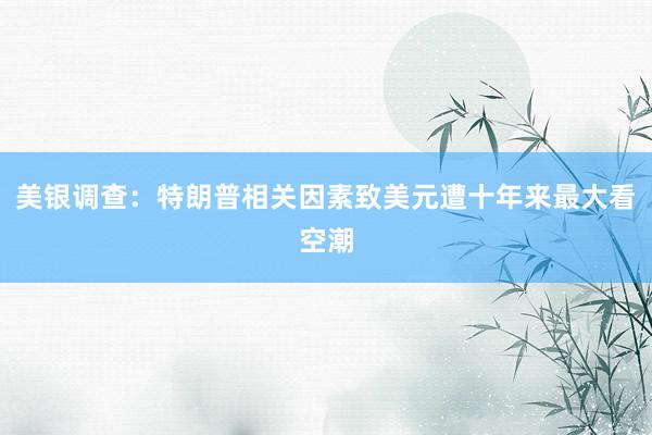 美银调查:特朗普相关因素致美元遭十年来最大看空潮