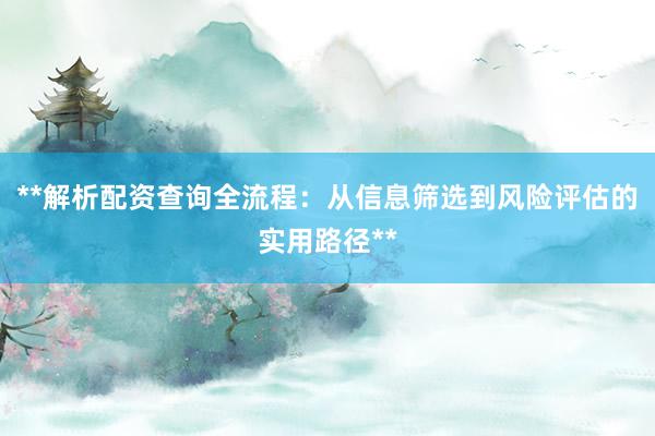 **解析配资查询全流程：从信息筛选到风险评估的实用路径**
