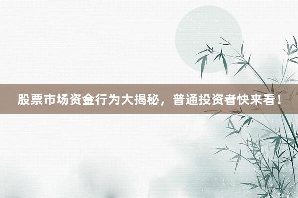 股票市场资金行为大揭秘，普通投资者快来看！