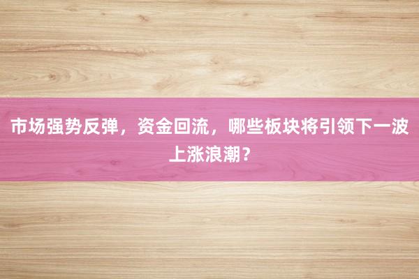 市场强势反弹,资金回流,哪些板块将引领下一波上涨浪潮?