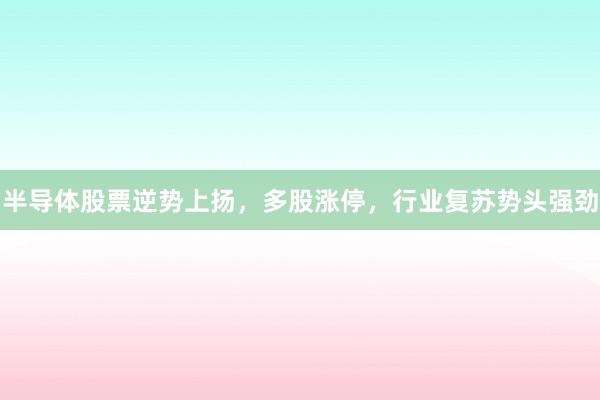 半导体股票逆势上扬，多股涨停，行业复苏势头强劲