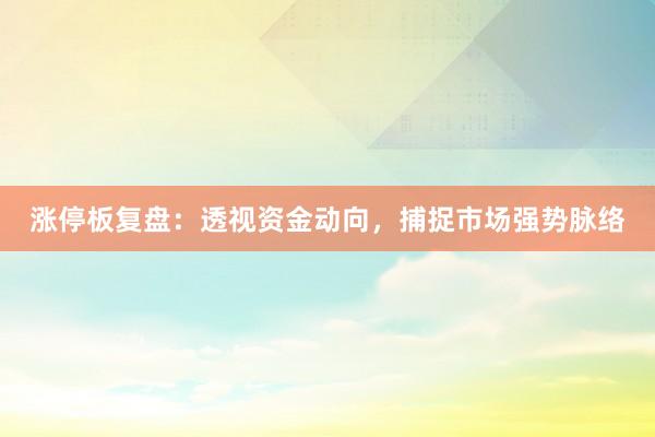 涨停板复盘：透视资金动向，捕捉市场强势脉络