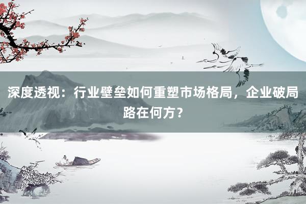 深度透视：行业壁垒如何重塑市场格局，企业破局路在何方？