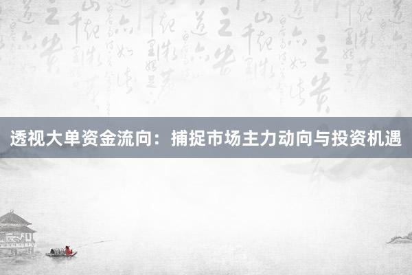 透视大单资金流向：捕捉市场主力动向与投资机遇