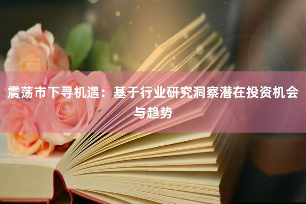 震荡市下寻机遇：基于行业研究洞察潜在投资机会与趋势