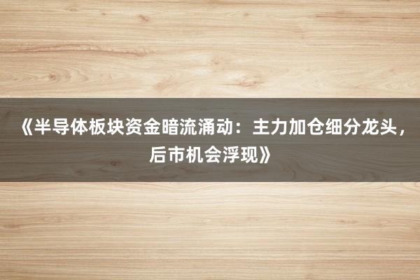 《半导体板块资金暗流涌动：主力加仓细分龙头，后市机会浮现》