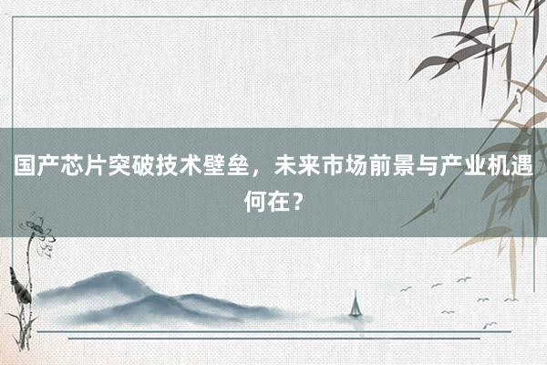 国产芯片突破技术壁垒，未来市场前景与产业机遇何在？