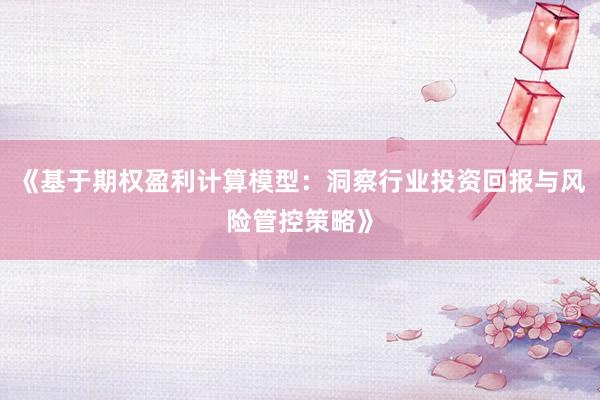 《基于期权盈利计算模型：洞察行业投资回报与风险管控策略》