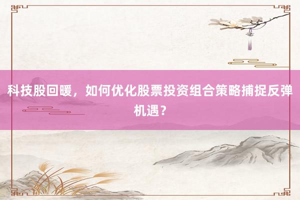 科技股回暖，如何优化股票投资组合策略捕捉反弹机遇？