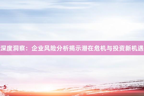 深度洞察:企业风险分析揭示潜在危机与投资新机遇