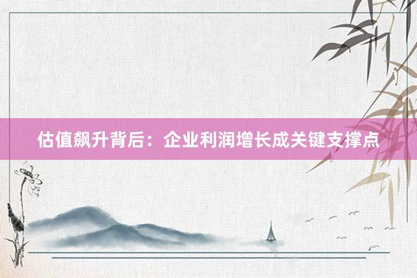 估值飙升背后:企业利润增长成关键支撑点