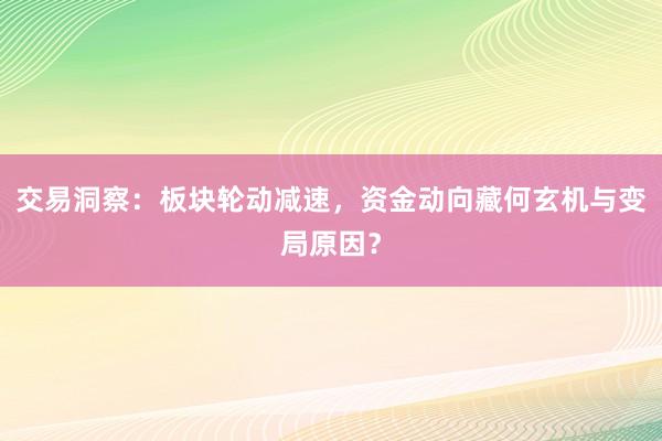 交易洞察：板块轮动减速，资金动向藏何玄机与变局原因？