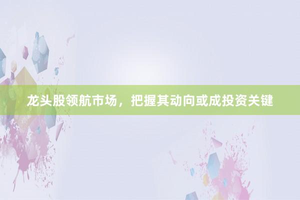 龙头股领航市场，把握其动向或成投资关键