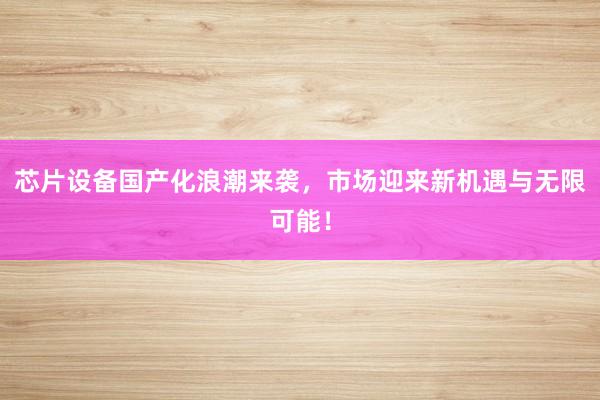 芯片设备国产化浪潮来袭，市场迎来新机遇与无限可能！