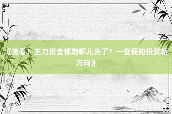 《速看!主力资金都跑哪儿去了?一查便知投资新方向》