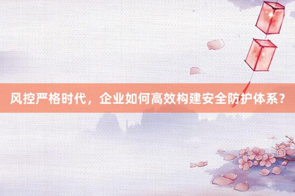 风控严格时代，企业如何高效构建安全防护体系？