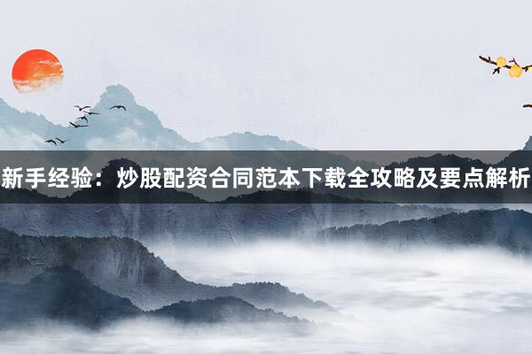 新手经验：炒股配资合同范本下载全攻略及要点解析
