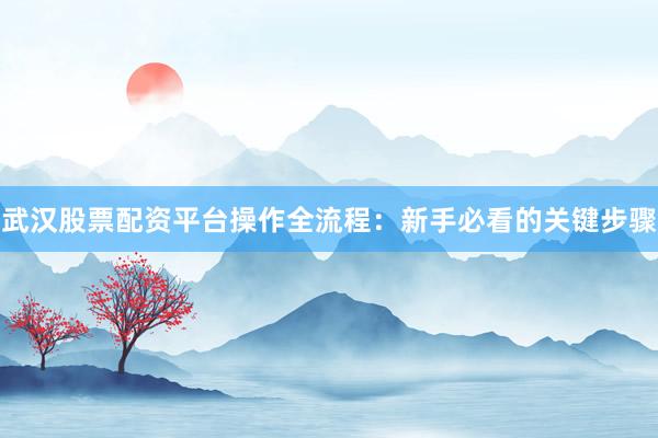 武汉股票配资平台操作全流程：新手必看的关键步骤