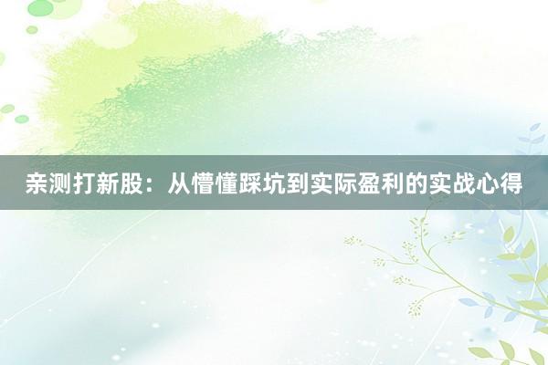 亲测打新股：从懵懂踩坑到实际盈利的实战心得