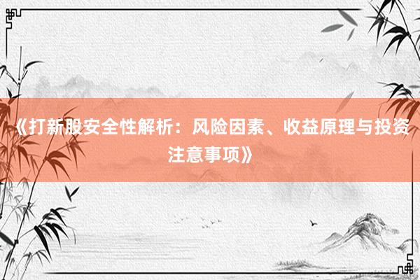 《打新股安全性解析：风险因素、收益原理与投资注意事项》